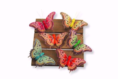 Picture of 6 Asst Vibrant Butterfly Pick