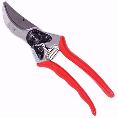 Picture of Branch Cutter