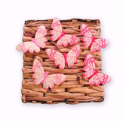 Picture of 2 Asst Blush Butterfly Pick