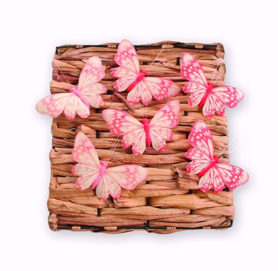Picture of 2 Asst Blush Butterfly Pick