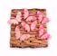 Picture of 2 Asst Blush Butterfly Pick