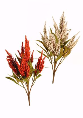 Picture of 2 Asst 18" Astilbe Bush X5