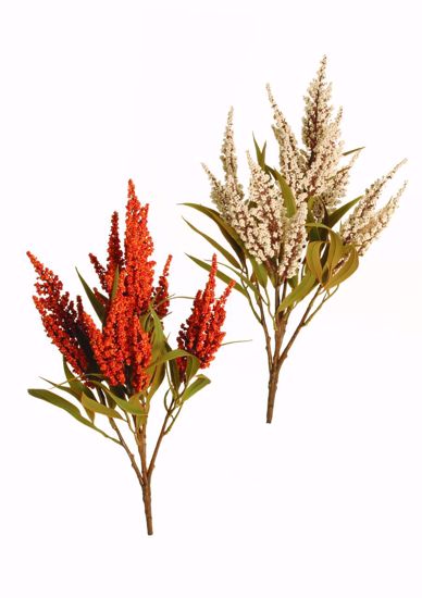 Picture of 2 Asst 18" Astilbe Bush X5