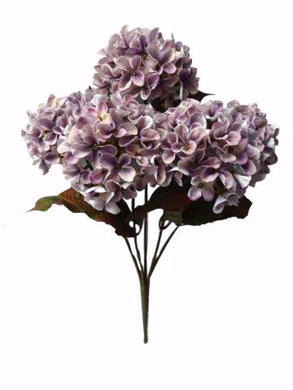 Picture of 17.75" Lilac Hydrangea Bush x5