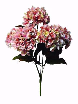 Picture of 17.75" Soft Tone Pink Hydrangea Bush x5