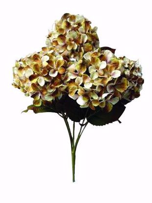 Picture of 17.75" Earth Tone Hydrangea Bush x5