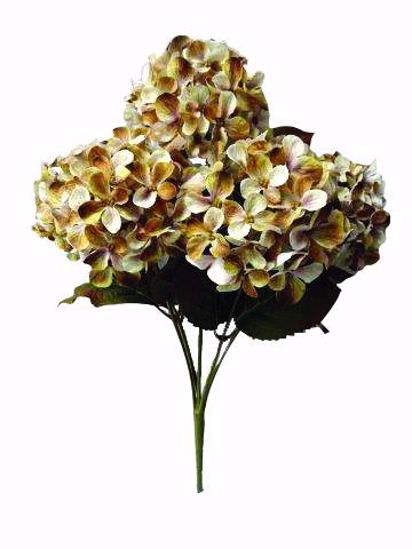 Picture of 17.75" Earth Tone Hydrangea Bush x5
