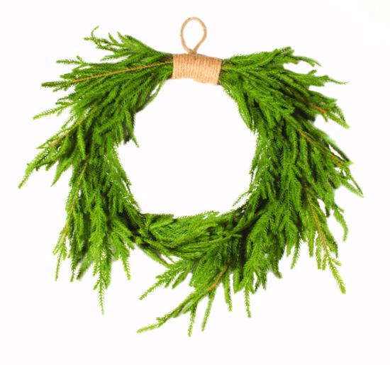 Picture of 24" Plastic Real Touch Austrian Pine Hanging Wreath