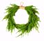 Picture of 24" Plastic Real Touch Austrian Pine Hanging Wreath