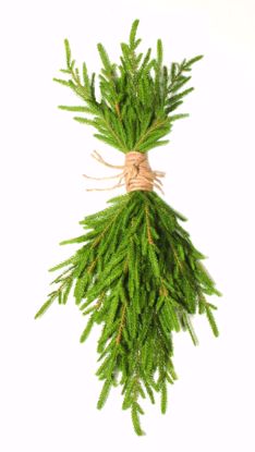 Picture of 31" Plastic Real Touch Austrian Pine Hanging Wall Decor
