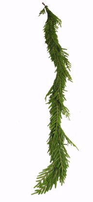 Picture of 6' Plastic Real Touch Austrian Pine Garland