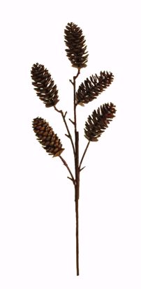 Picture of 18" Pine Cone Spray
