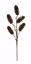 Picture of 18" Pine Cone Spray