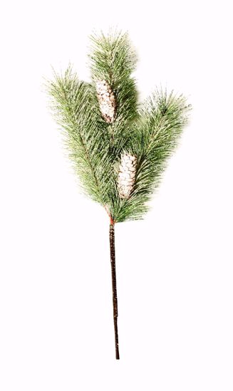 Picture of 18" Frosted Slash Pine W/Cones Spray X3