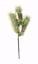 Picture of 18" Frosted Slash Pine W/Cones Spray X3