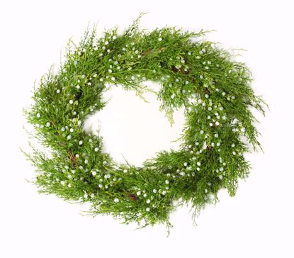 Picture of 24" Oregon Juniper Wreath
