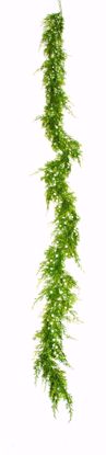 Picture of 6' Oregon Juniper Garland
