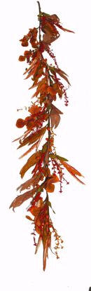 Picture of 5' Heather W/Berry Garland