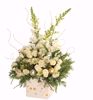 Picture of 2 Asst Gold & Silver Radiance Planters 4.5"