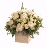 Picture of 2 Asst Gold & Silver Radiance Planters 5.25"