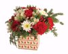 Picture of 2 Asst Christmas Traditions Planter 4.5"