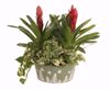 Picture of 3 Asst Snowy Pine Tree Planter 9"