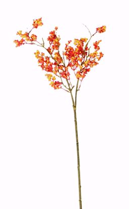 Picture of 30" Red/Yellow Berry Spray X19