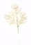 Picture of 18" Champagne Glitter Twig Spray X3
