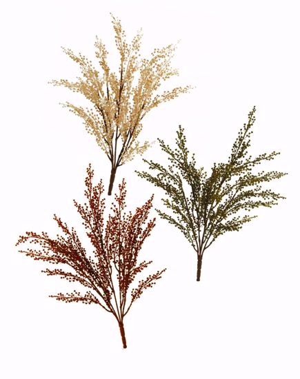 Picture of 3 Asst 18" Pepper Berry Bush X5