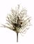 Picture of 18" Snow Pine Cone/Twig Spray