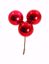 Picture of 50mm Red Ball Pick