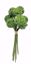 Picture of 10.25" Green Craspedia Bundle W/Raffia x9