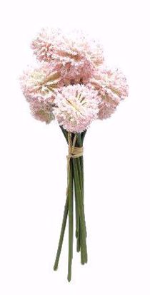 Picture of 10.25" Pink Craspedia Bundle W/Raffia x9