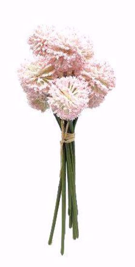 Picture of 10.25" Pink Craspedia Bundle W/Raffia x9
