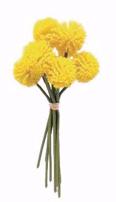 Picture of 10.25" Yellow Craspedia Bundle W/Raffia x9