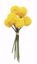 Picture of 10.25" Yellow Craspedia Bundle W/Raffia x9
