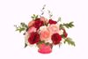Picture of 5" Classic Compote - Color Pop