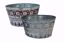 Picture of 2 Assorted Nordic Dish Garden 11"