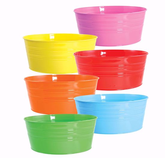 Picture of 6 Asst Color Pop Dish Garden 12"