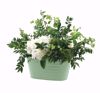 Picture of 3 Asst BOHO Garden Planter 8.75"