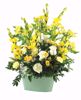 Picture of 3 Asst BOHO Garden Planter 8.75"