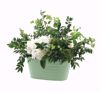 Picture of 3 Asst BOHO Garden Planter 12"