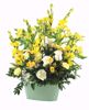 Picture of 3 Asst BOHO Garden Planter 12"