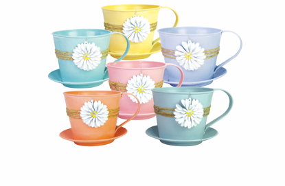 Picture of 6 Asst Pastel Daisy Charm Cup/Saucer 5"
