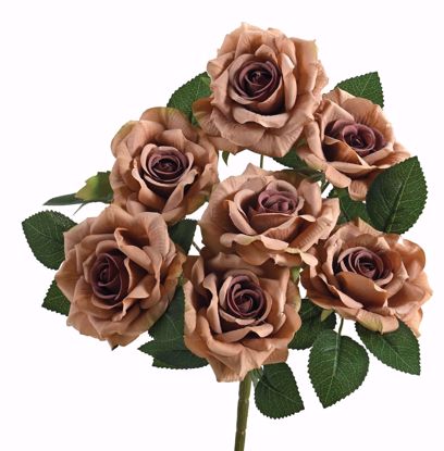 Picture of 14" Rose Bush X 7 Taupe