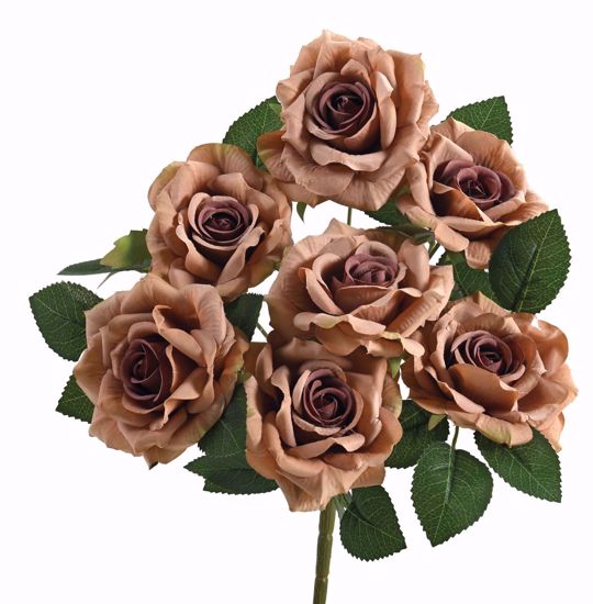 Picture of 14" Rose Bush X 7 Taupe