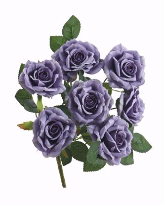 Picture of 14" Rose Bush X 7 Eggplant