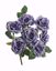 Picture of 14" Rose Bush X 7 Eggplant