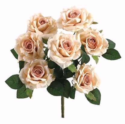 Picture of 14" Rose Bush X 7 Beige