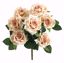 Picture of 14" Rose Bush X 7 Beige
